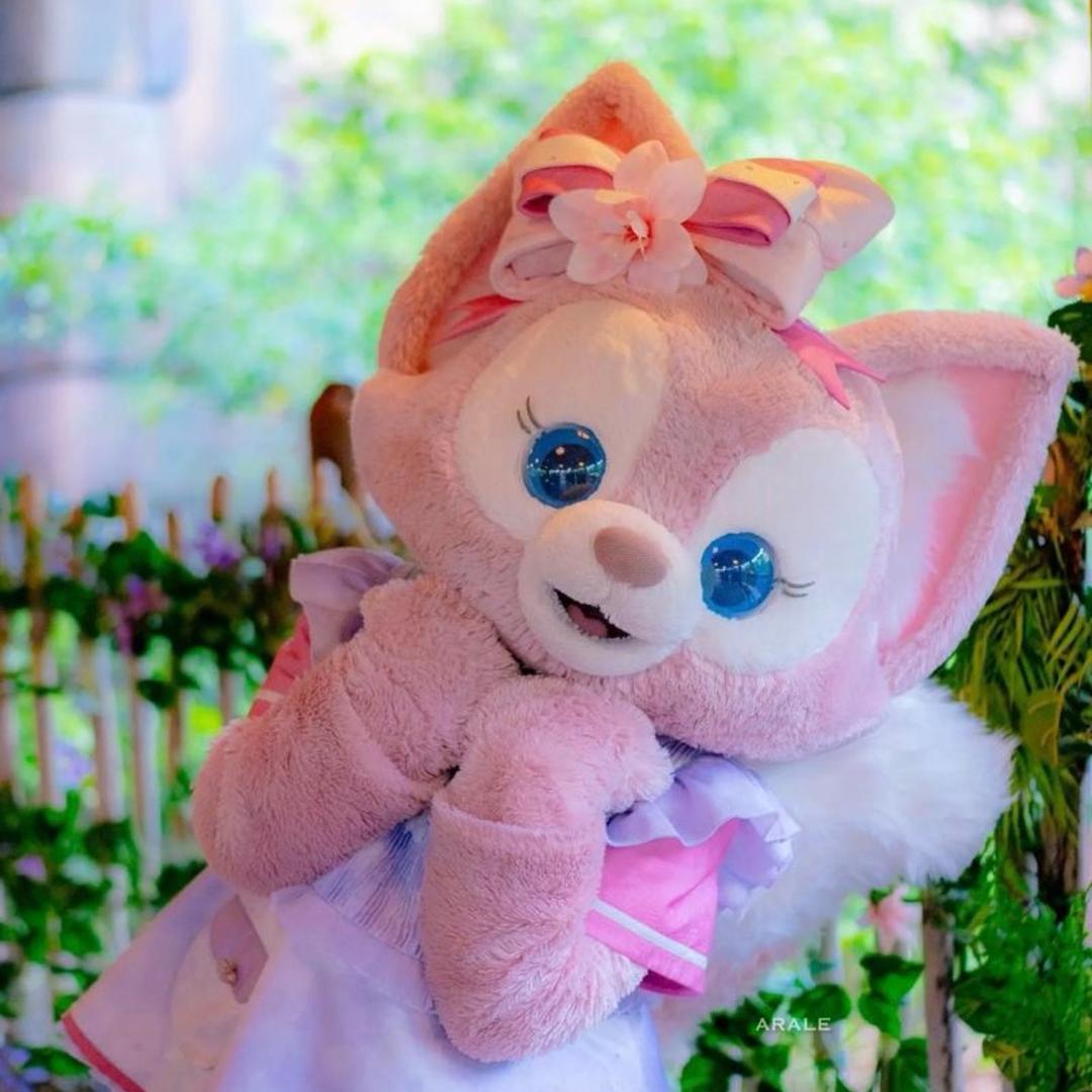 🌸阿狸