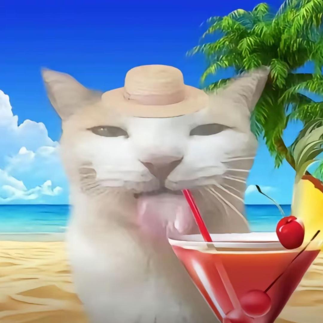 水母猫