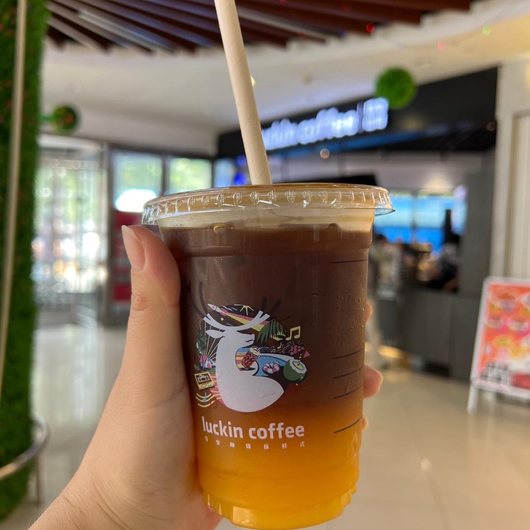 橙C美式哈哈哈哈