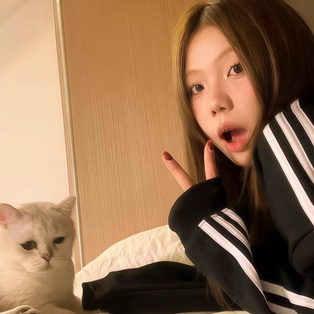 你看起来像笨蛋＾