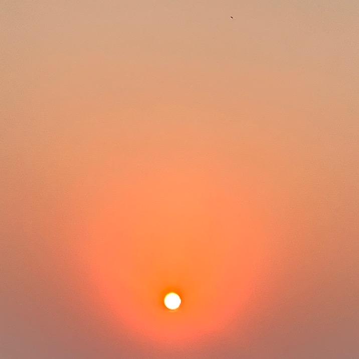 💦露