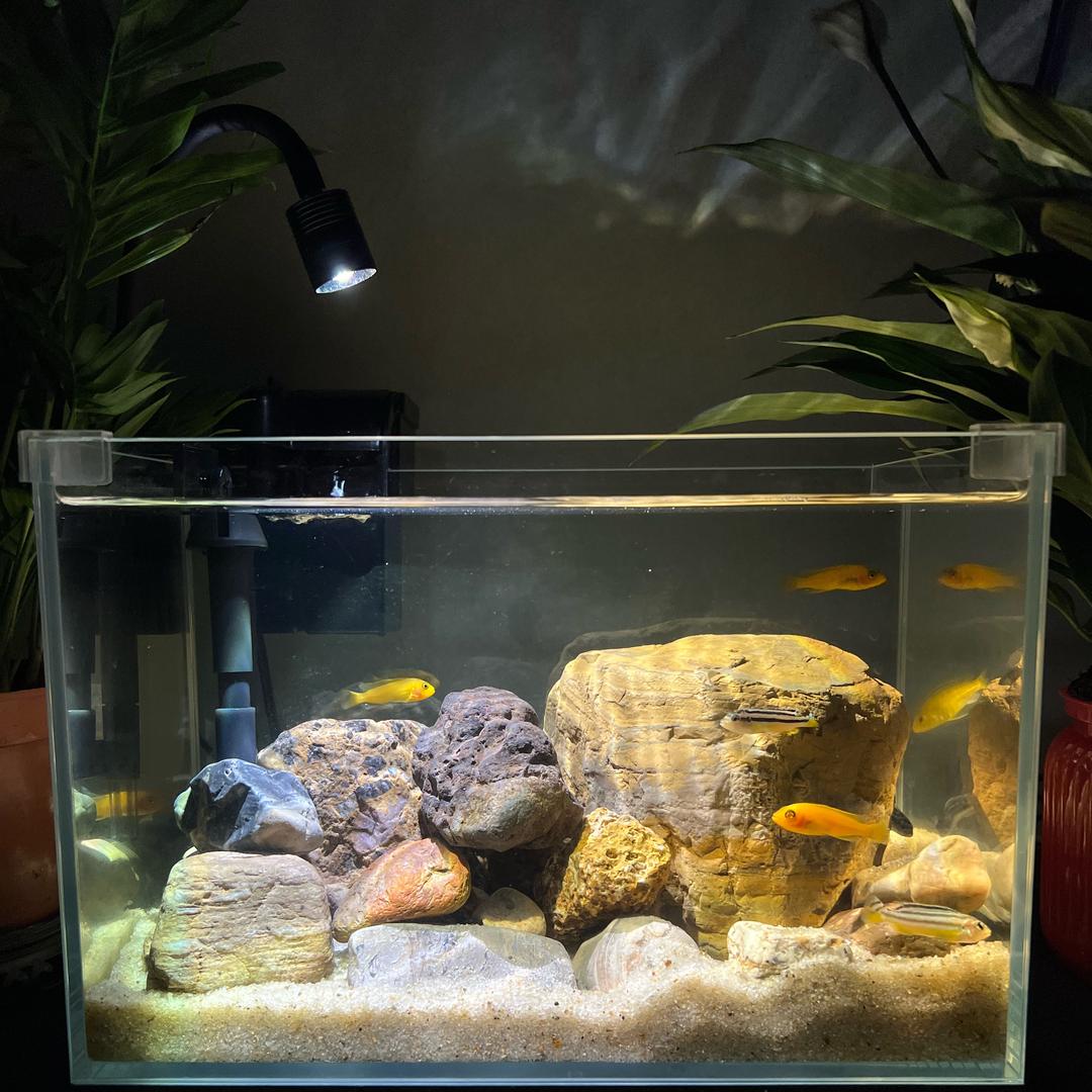 佳佳顺商贸工作室