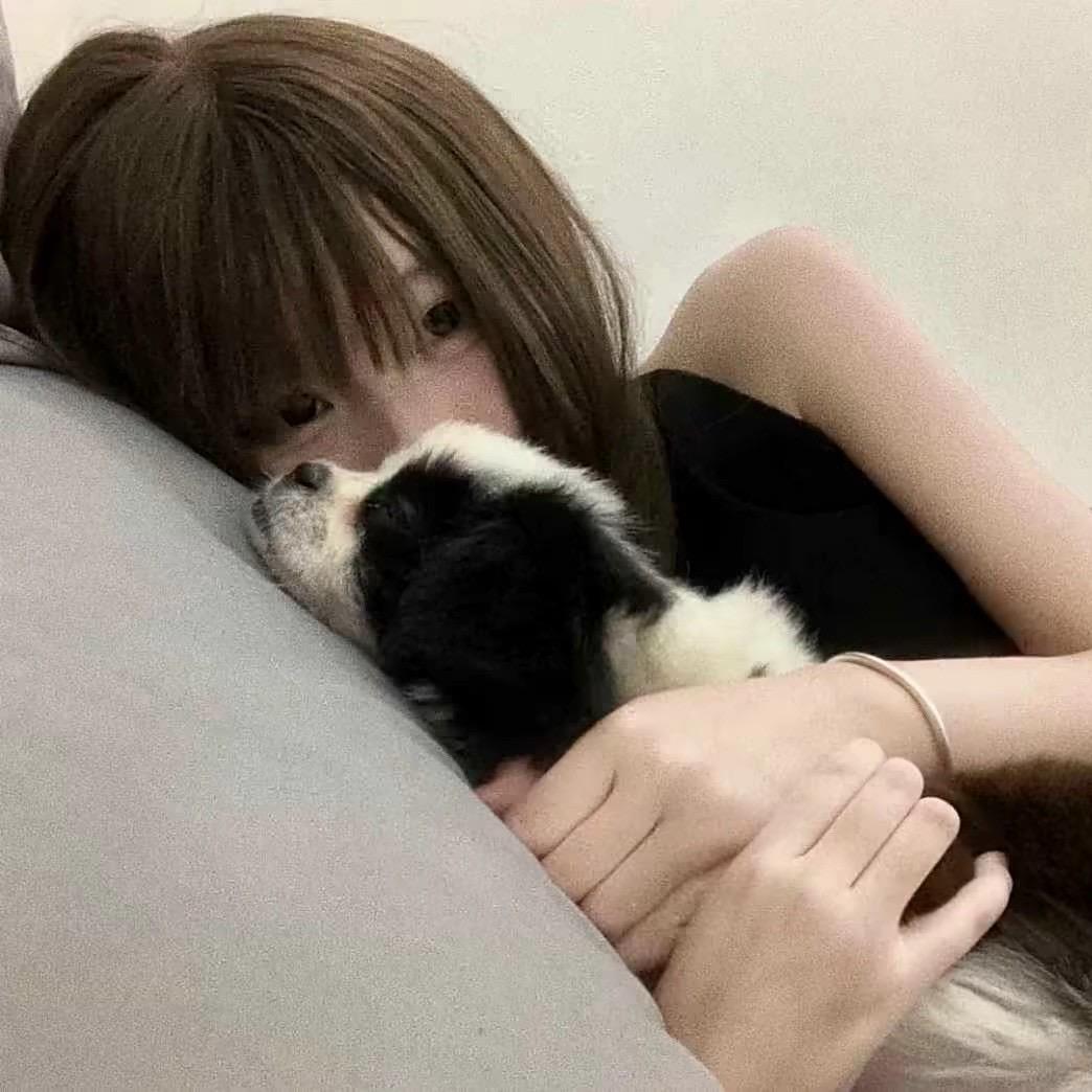 小呆y