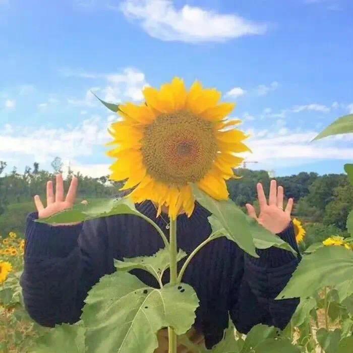 跟小齐浇个朋友