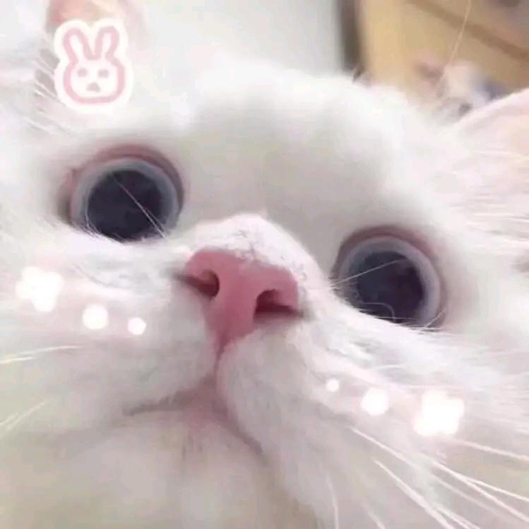 帅的难受