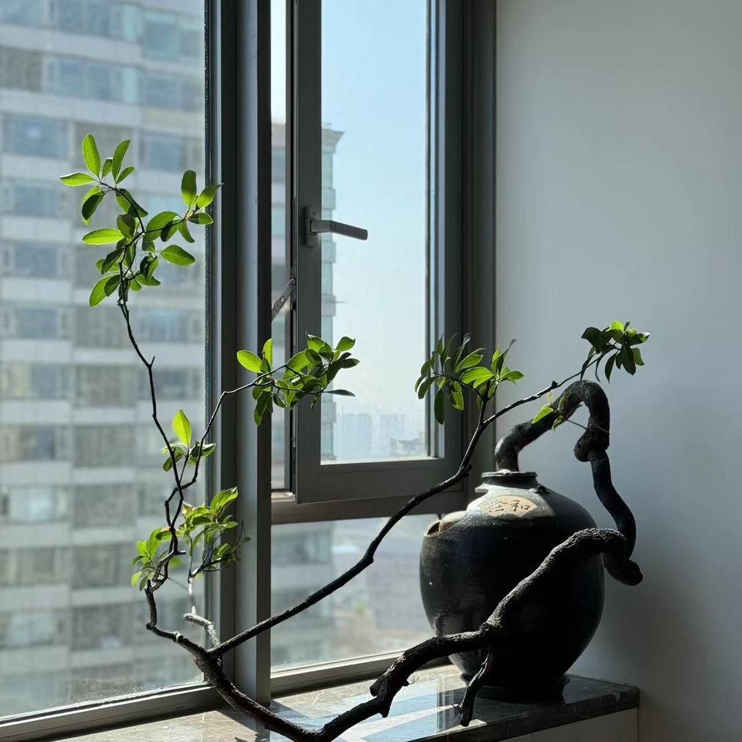 唯景汇