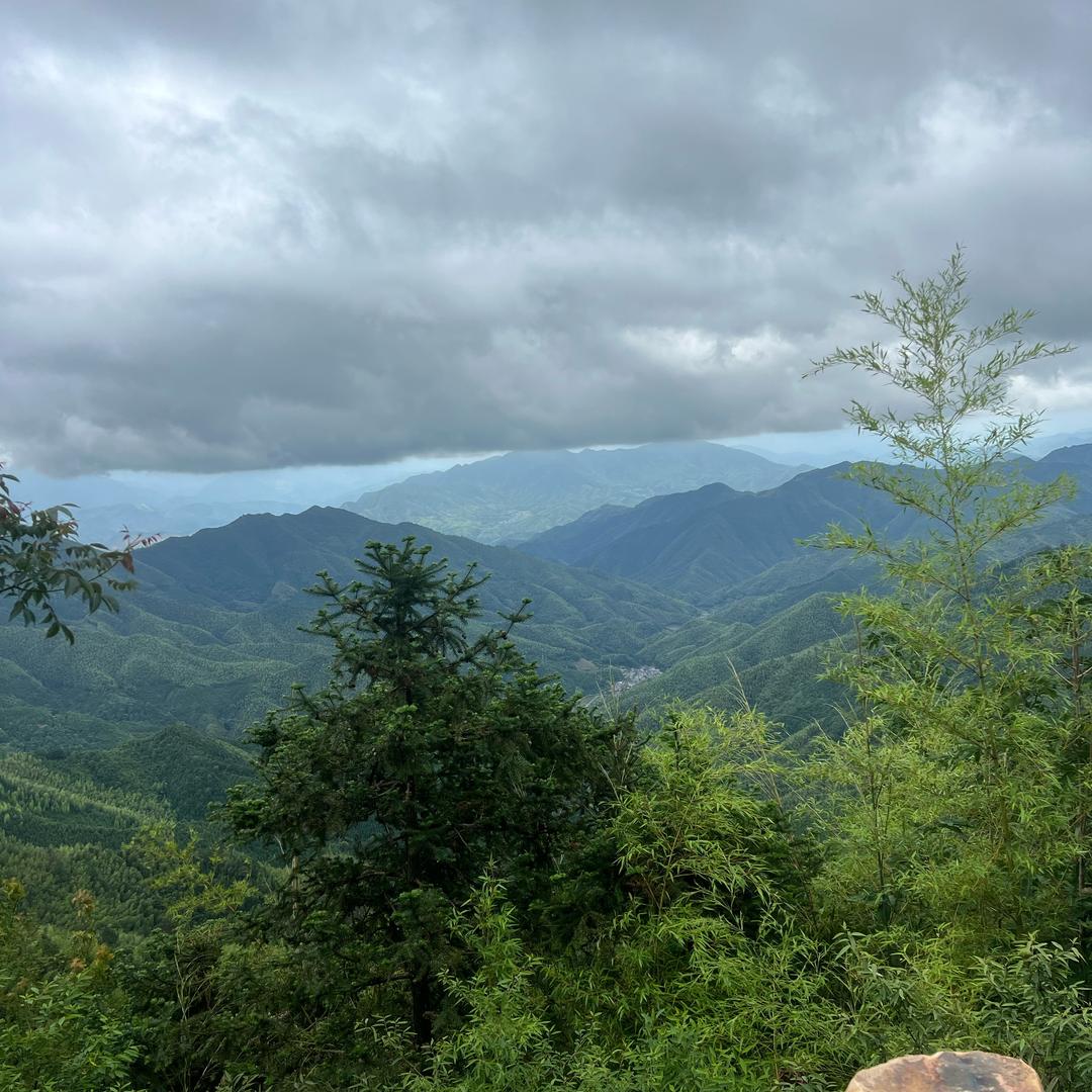 上下单双我在行