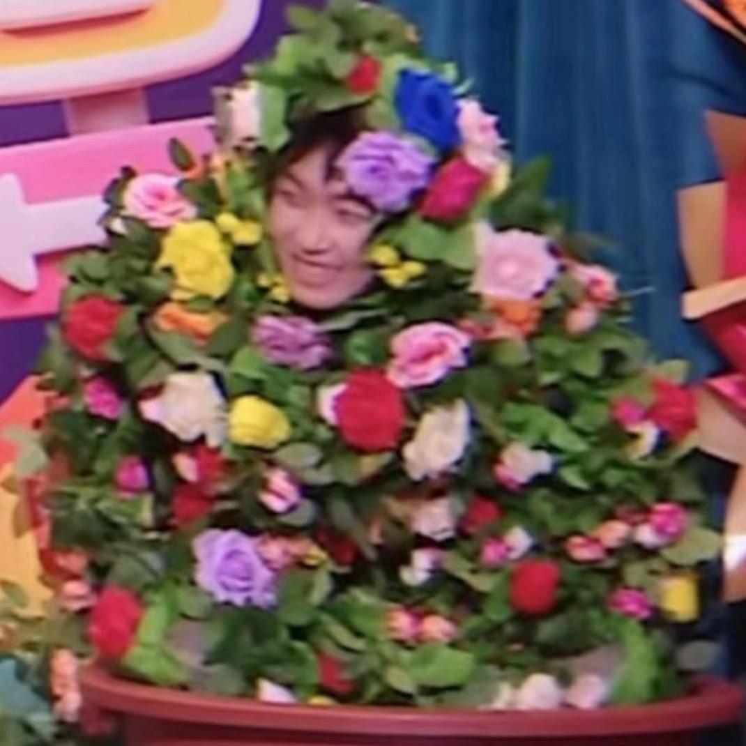 今天我在富士山