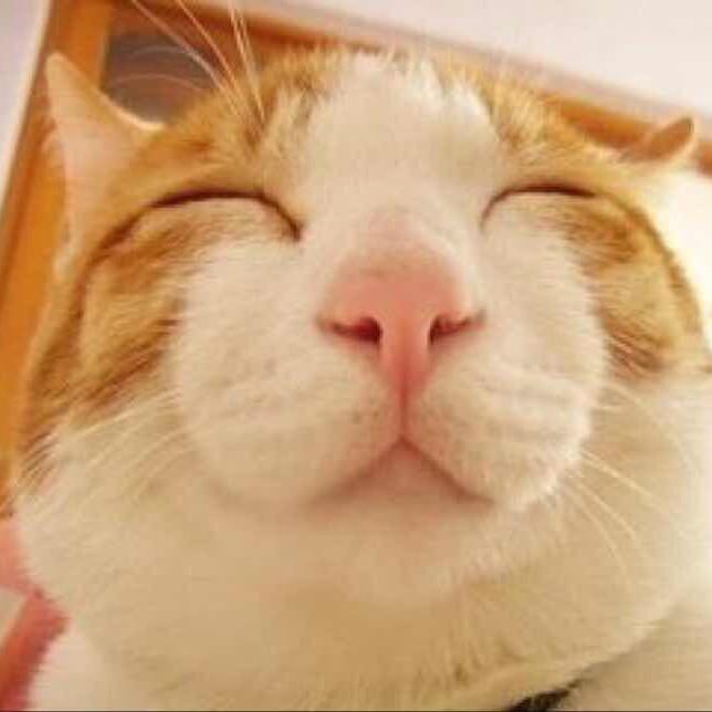 欢乐多甄选