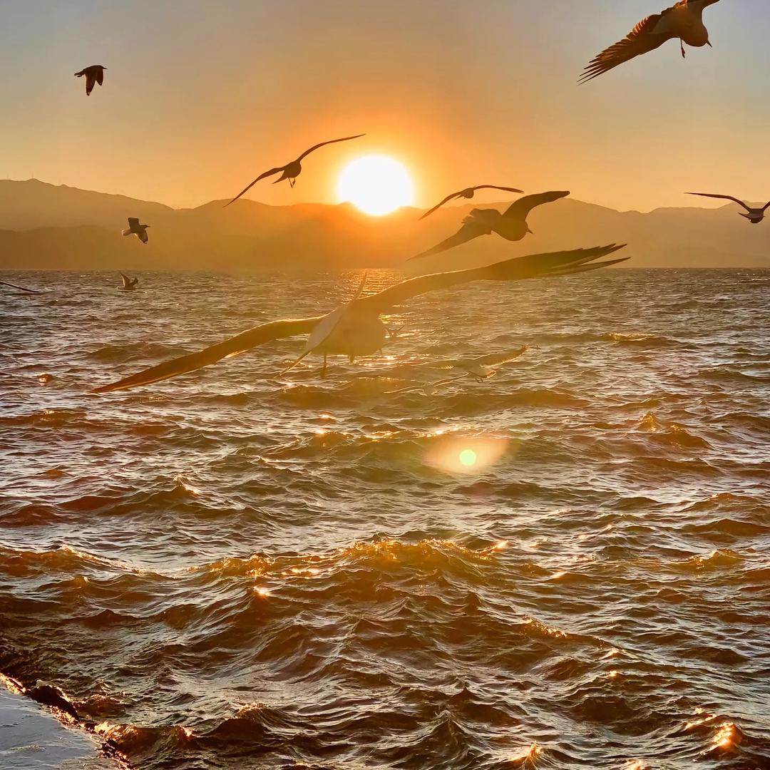 九丿丶七7️⃣测