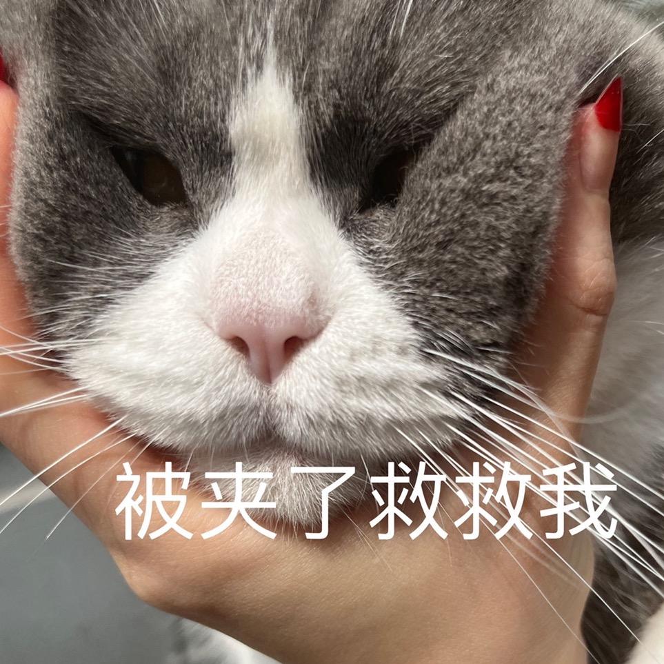 炭烤莉莉黑（求推荐 谢谢家人）