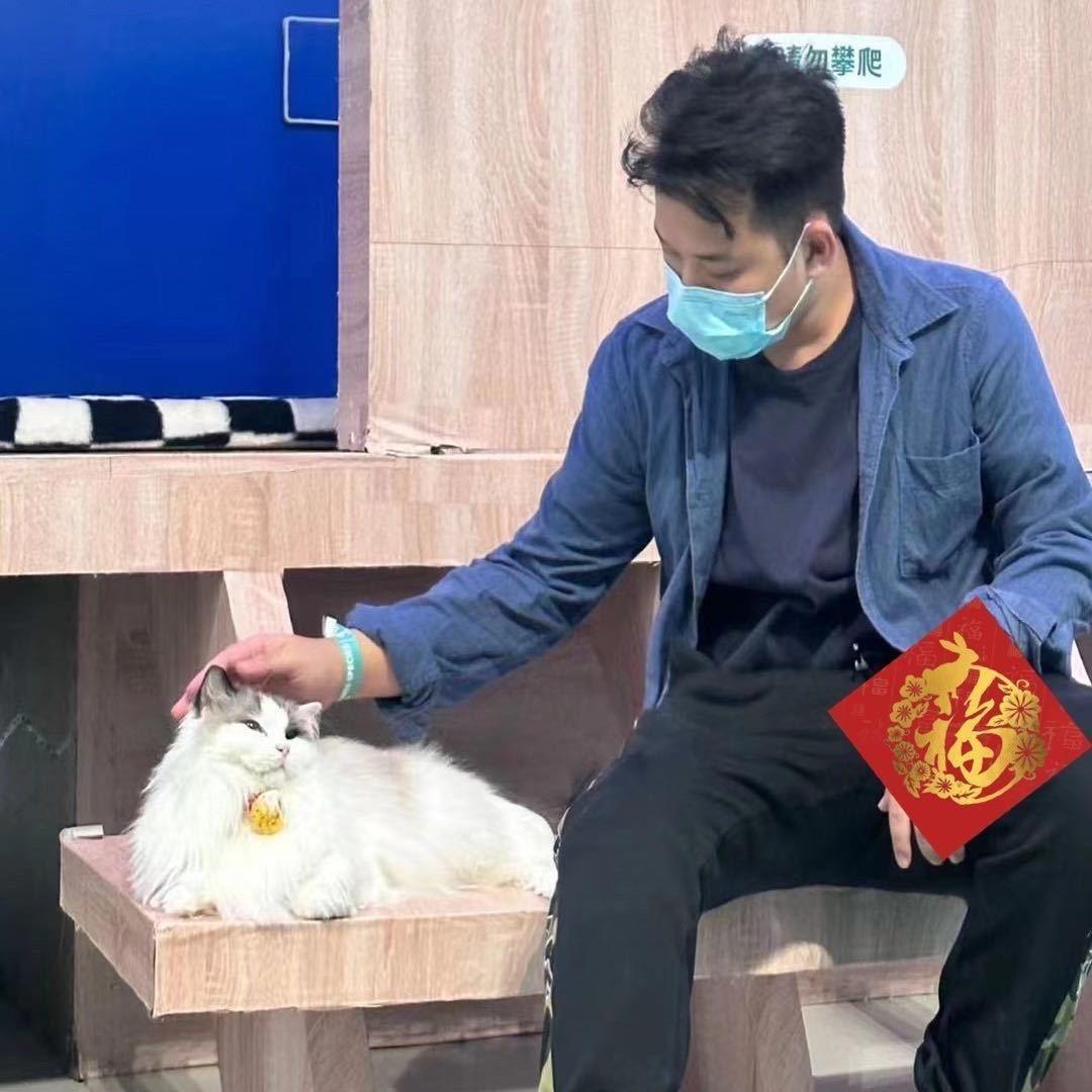 深圳照宇漂务