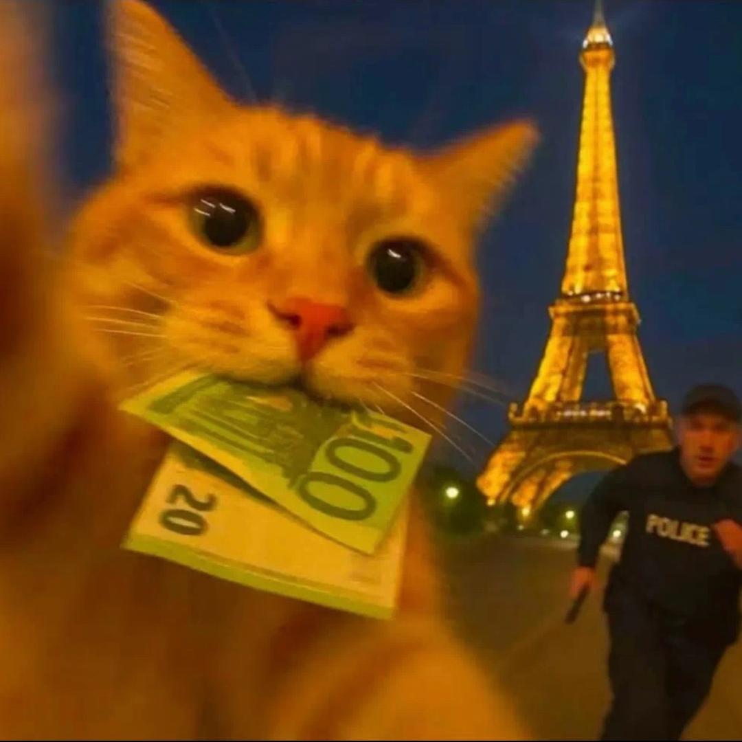 别摸大喜的天菩萨