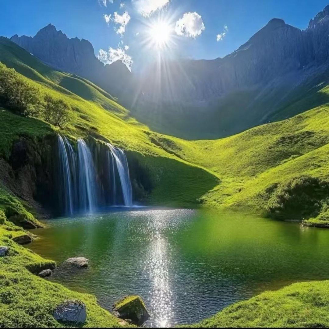 🇨🇳@杨二狼.物资回收♻️