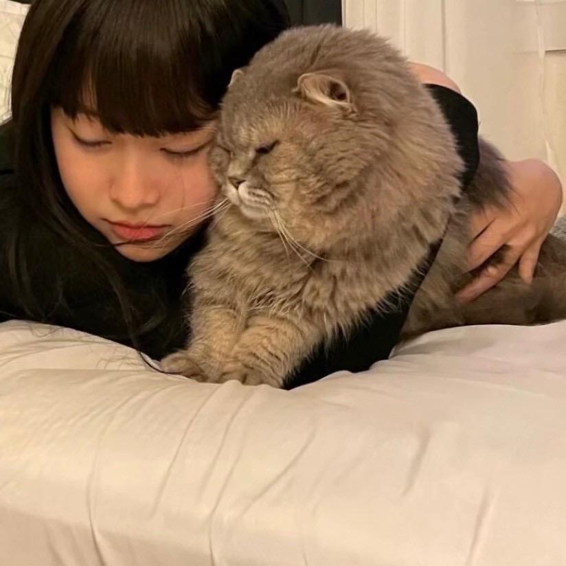 点模子
