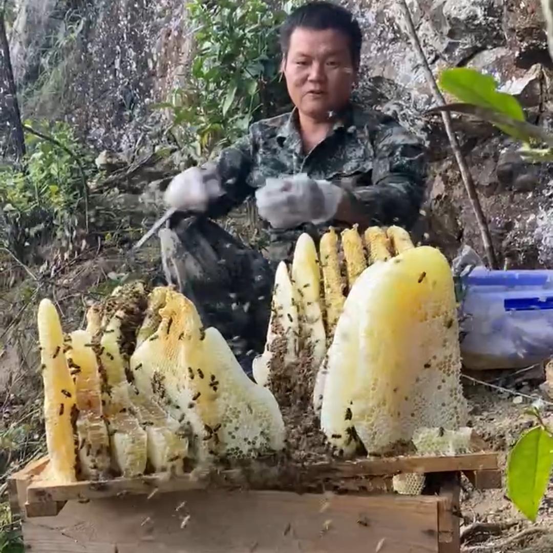 闽佳蜂业