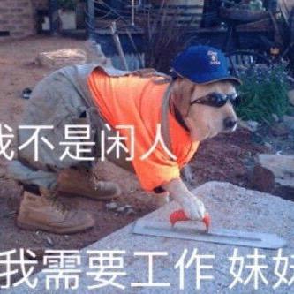 虎皮猫
