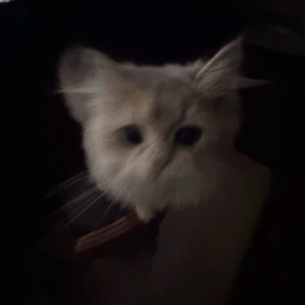 00涛