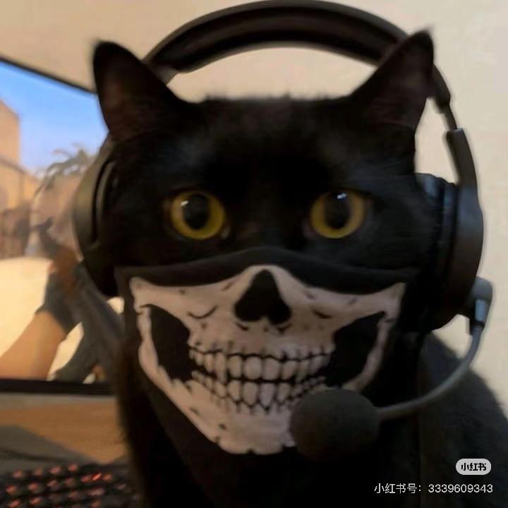 西巴罗麻（pubg）