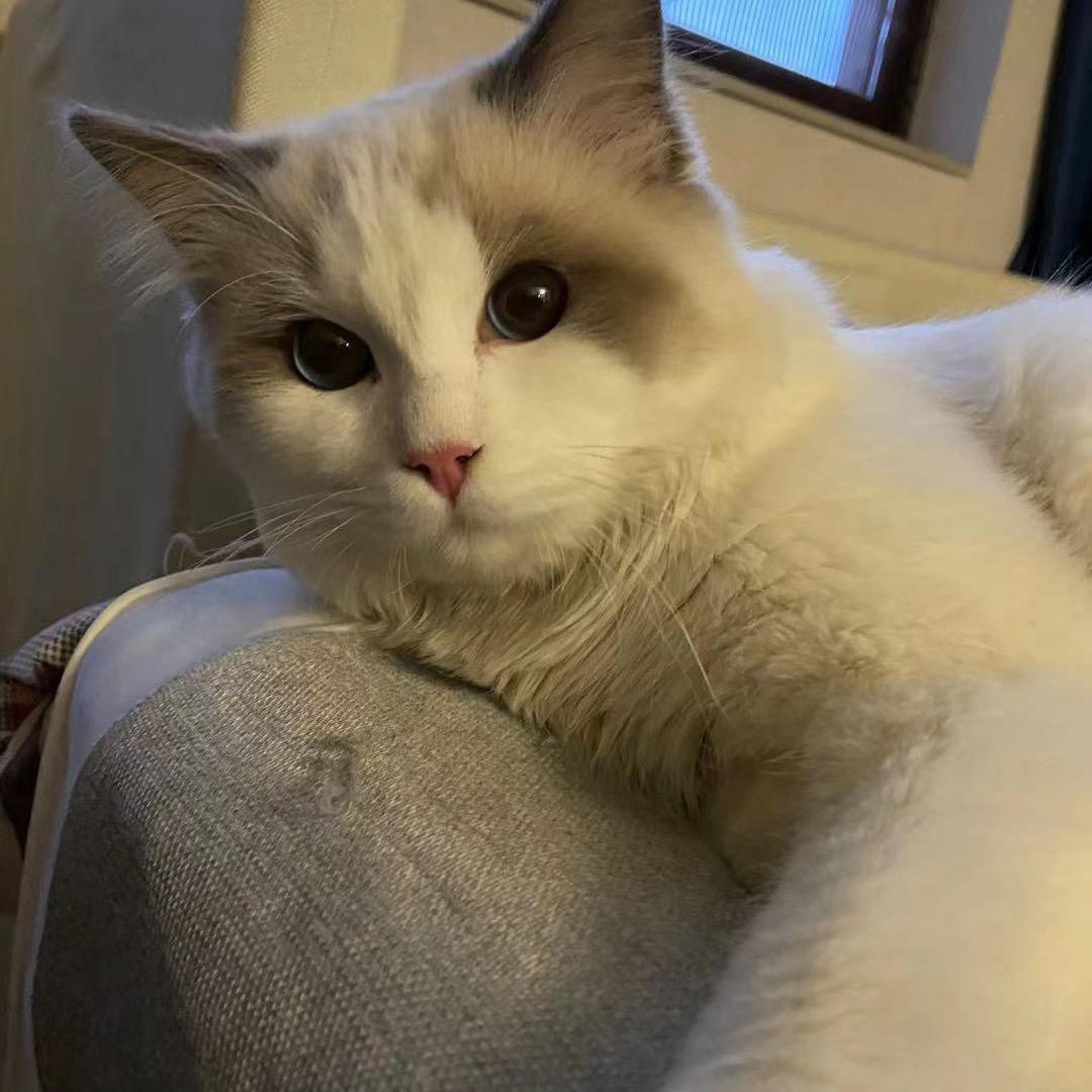 Miss'  Ripley