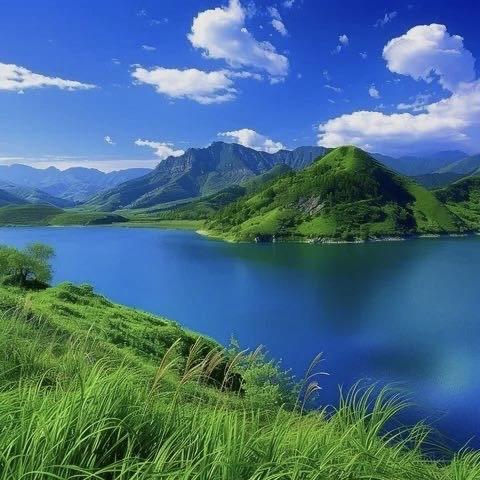 五莲县云尔石材有限公司