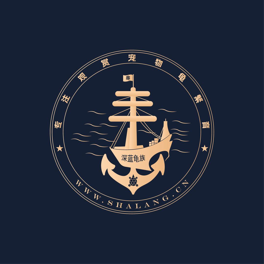 深蓝新龟族