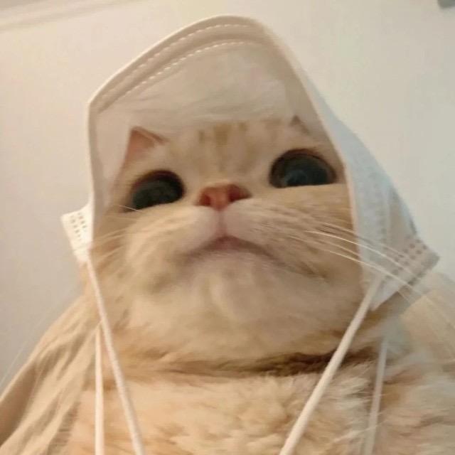 801