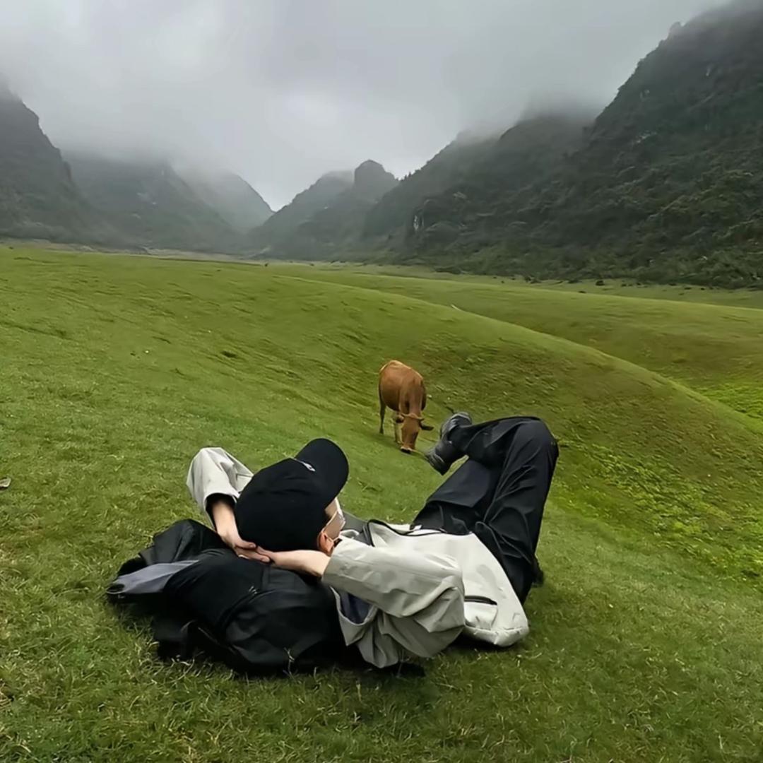 陈泊雨