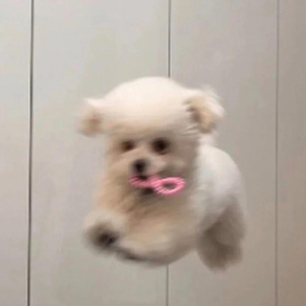 乔木