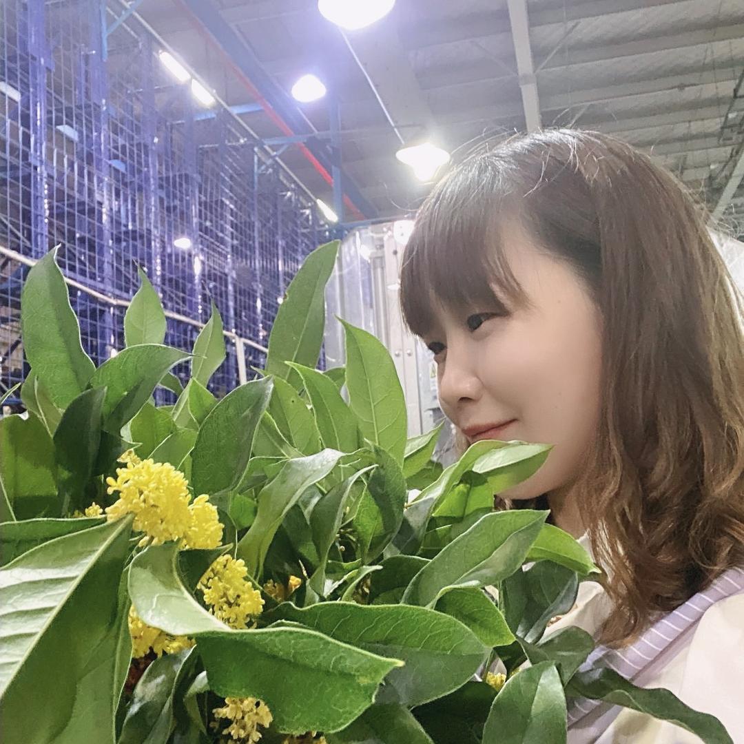 似水往昔