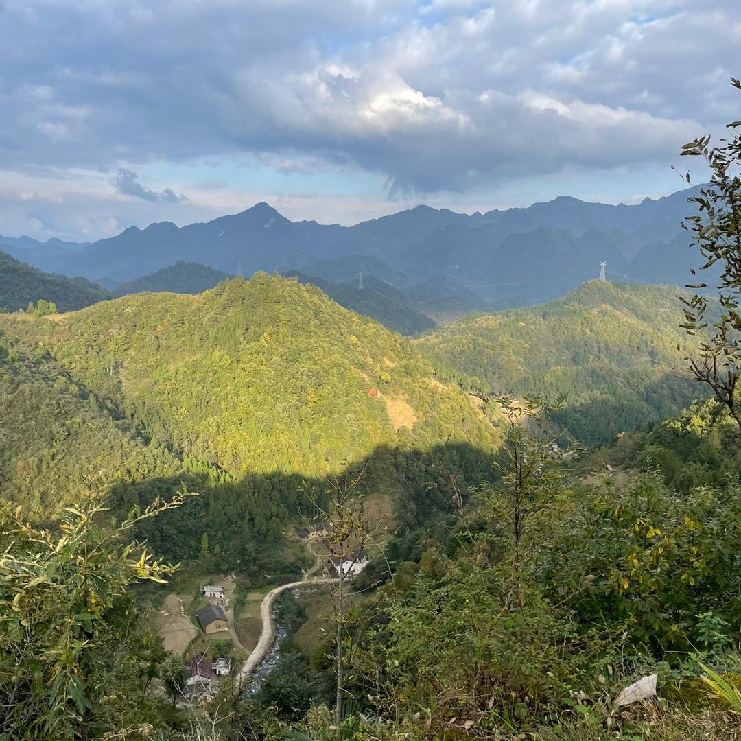 秦岭山货