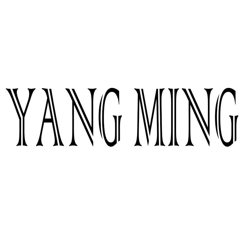 广州市扬名贸易有限公司