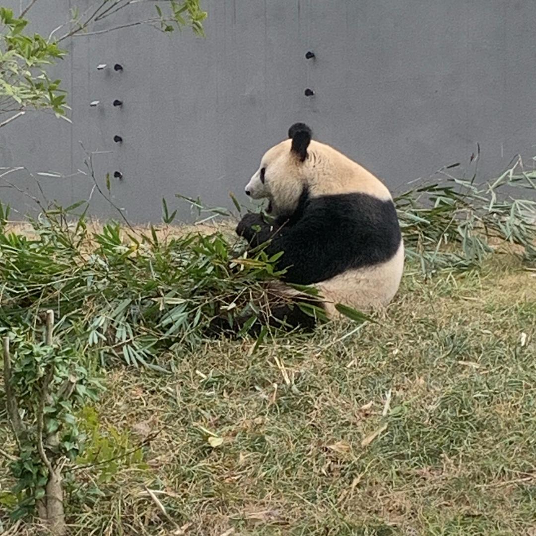 晓晓 精品推荐