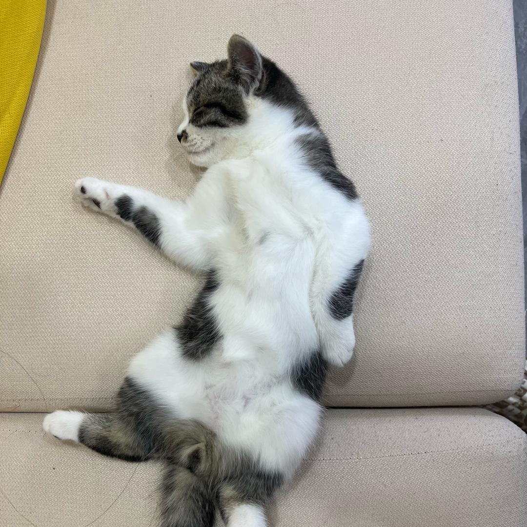 重生之我在大连卖鸭脖