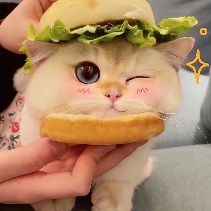 不吃男人画的大饼