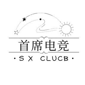 首席电竞（招双端打手）