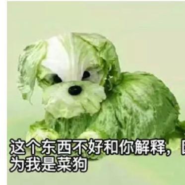 吴彦祖前女友