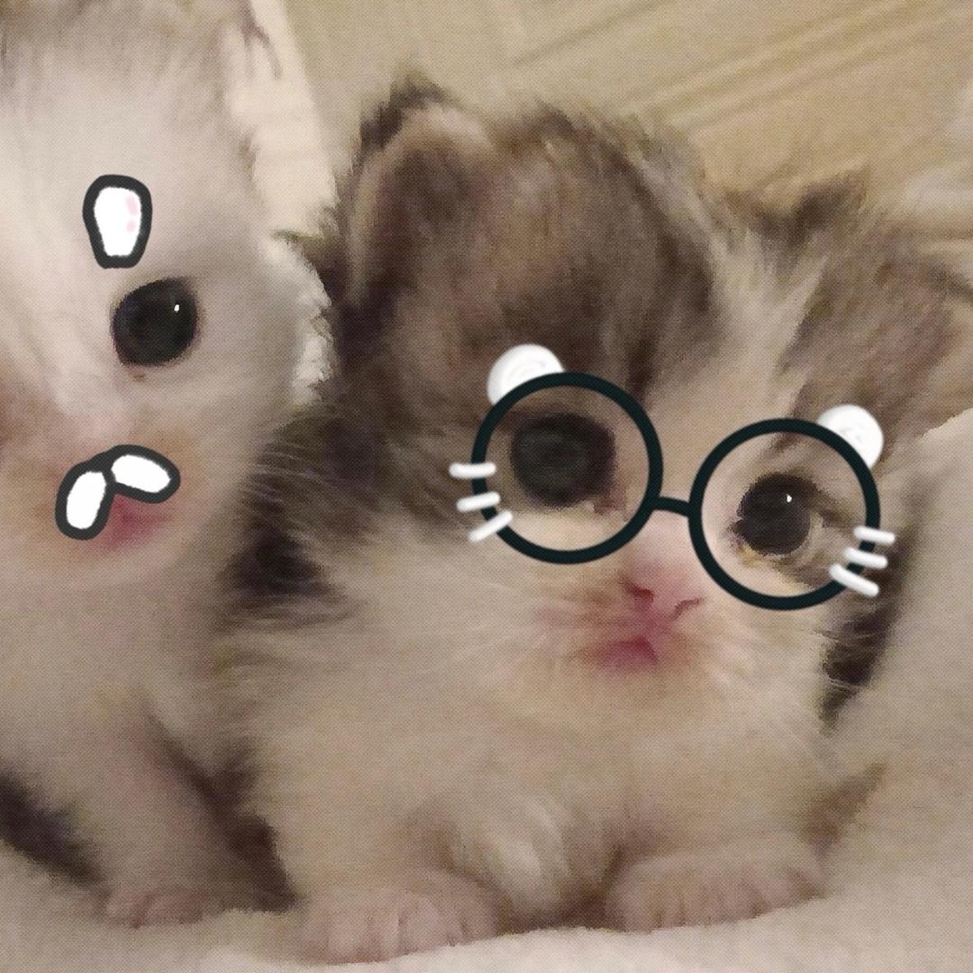 Aaa维修部老萝