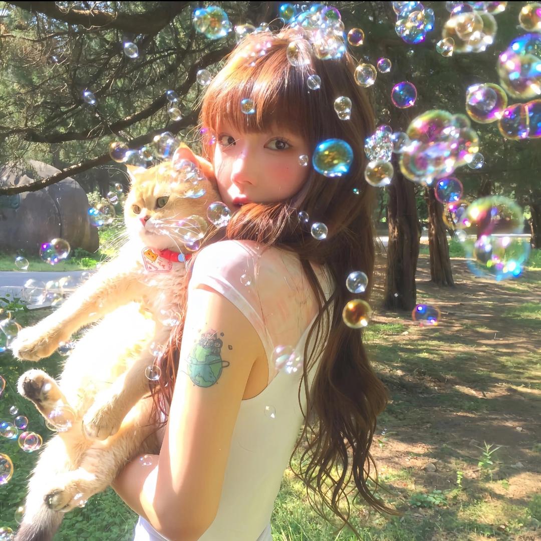 猫猫拳
