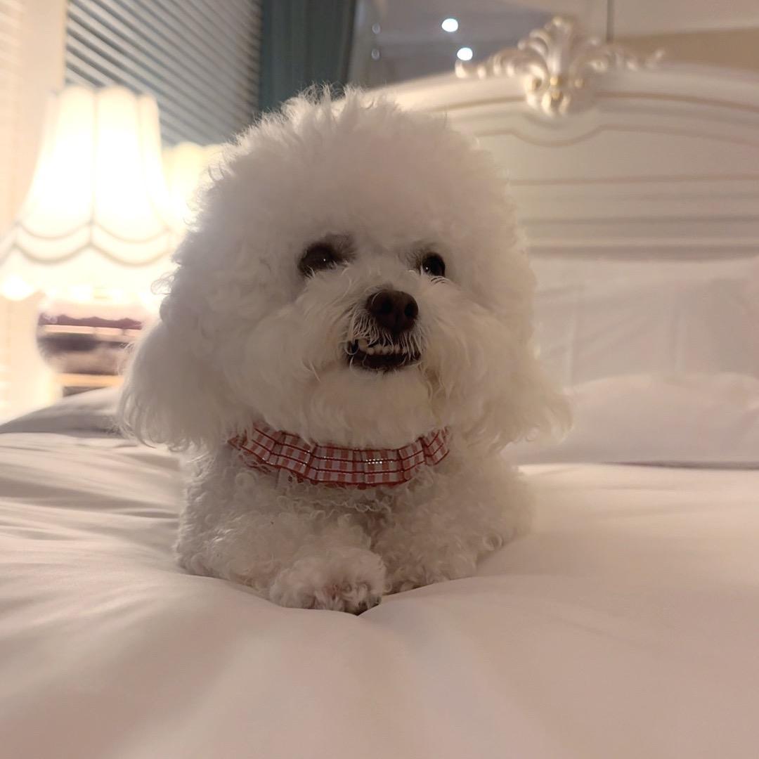 ๑一凡ღ