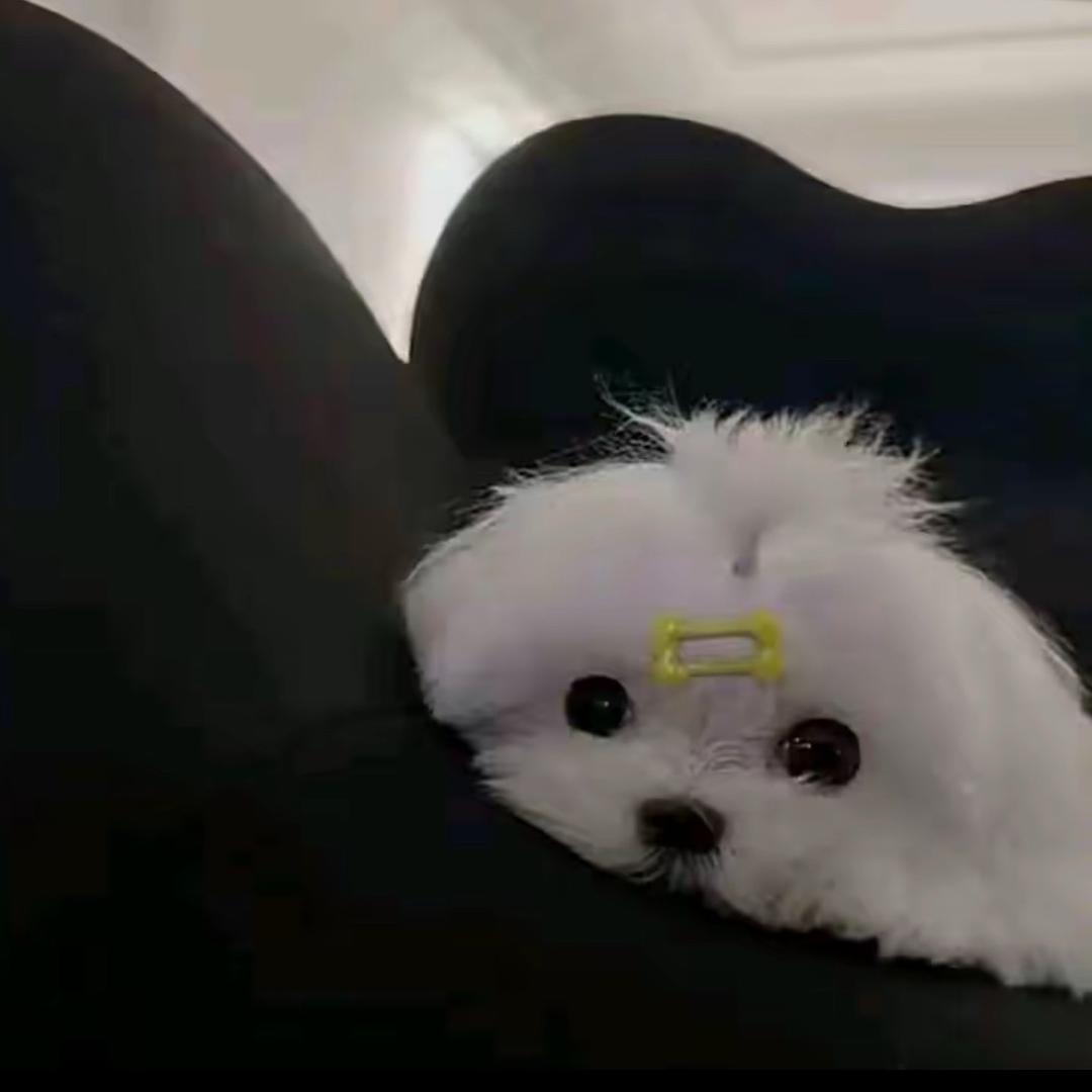 如果泪水比爱多