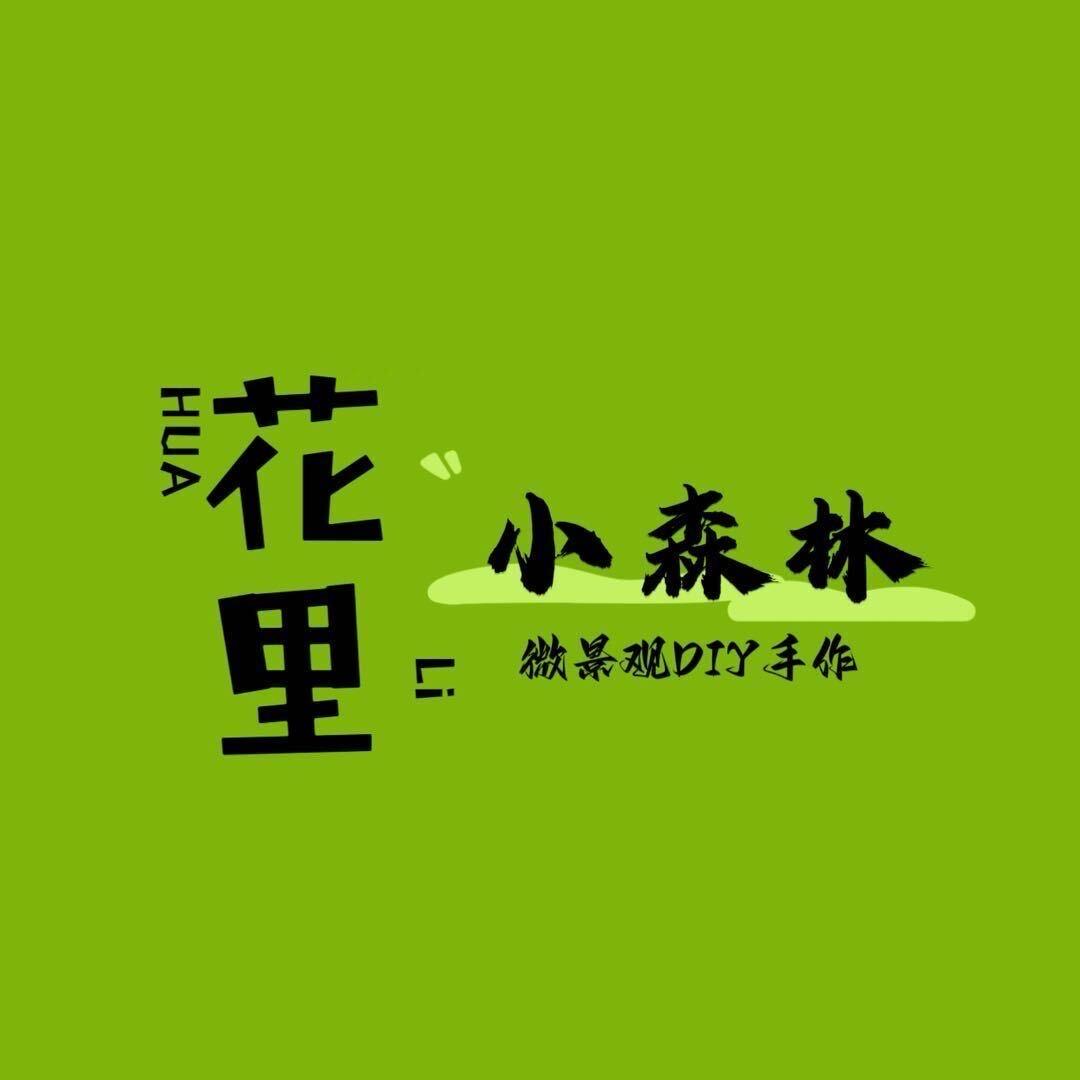 花里植物微景观DIY手作