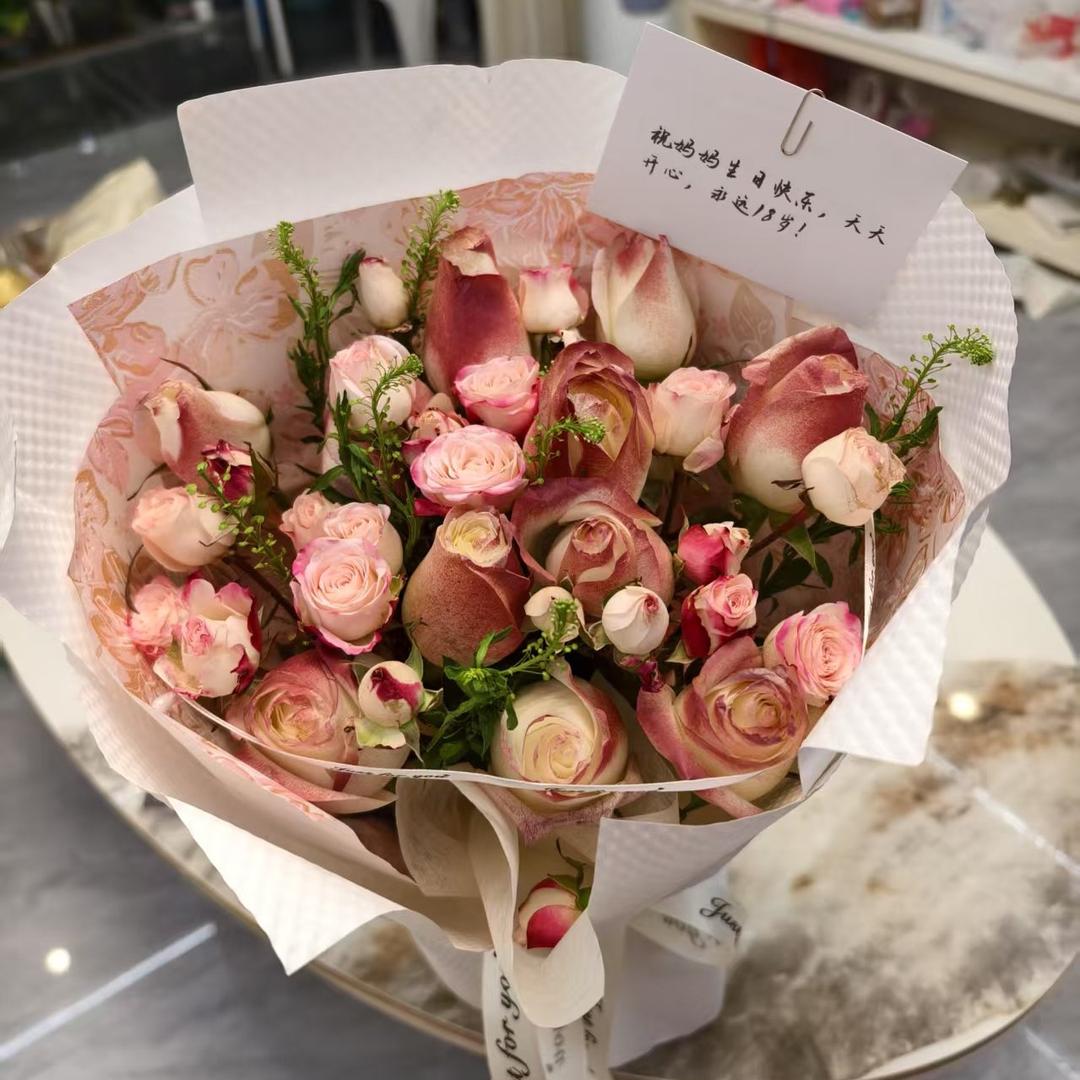 小燕子