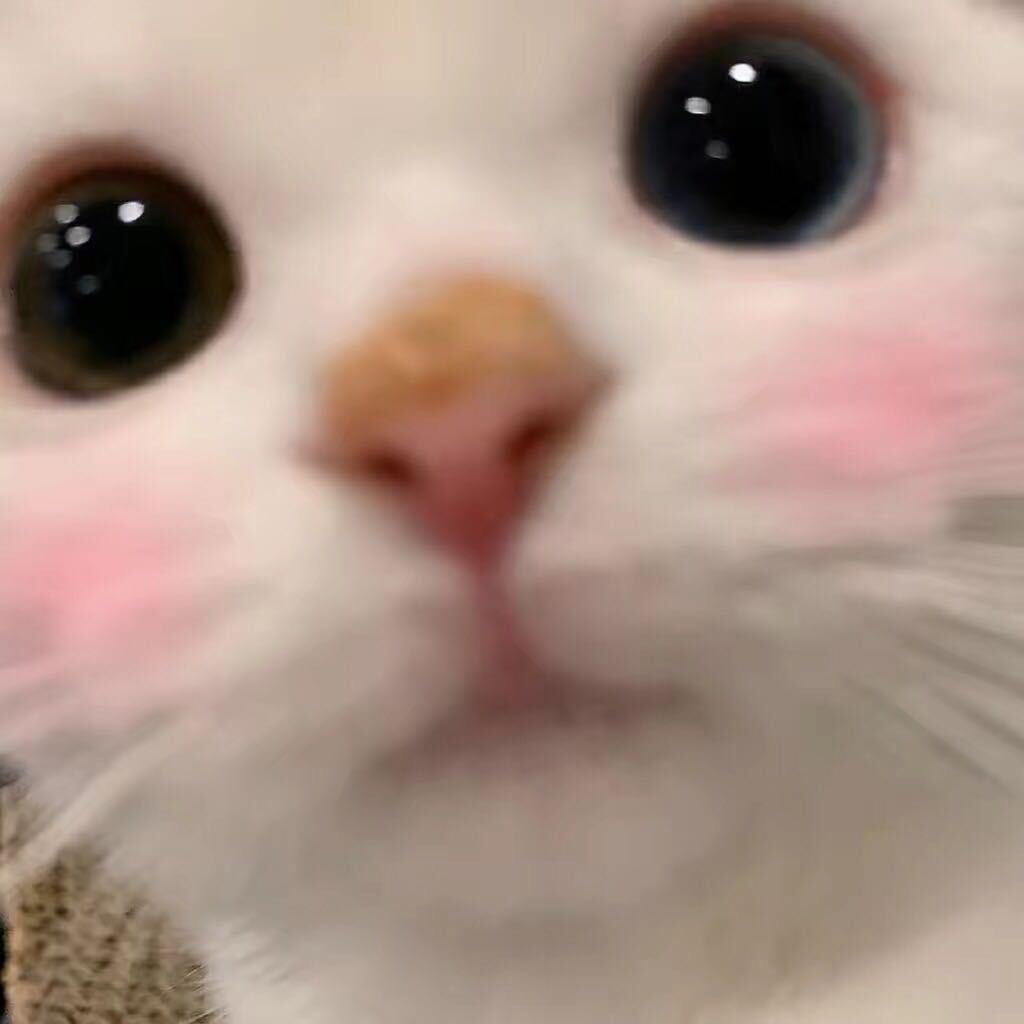 Ty