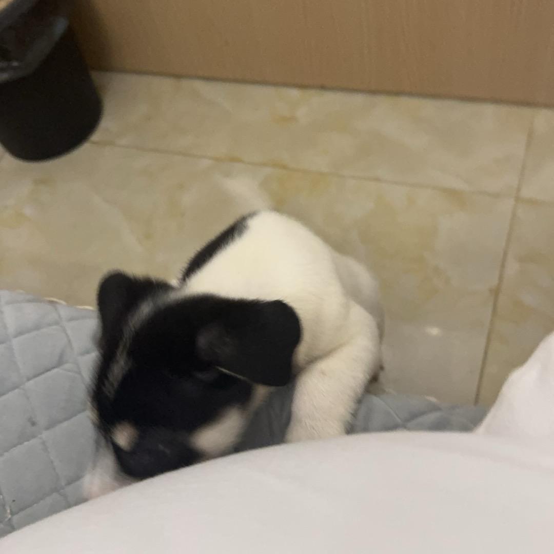 好物推荐