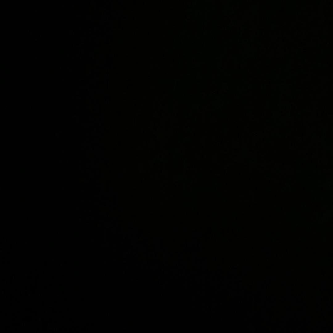 栀子花（骨折版）
