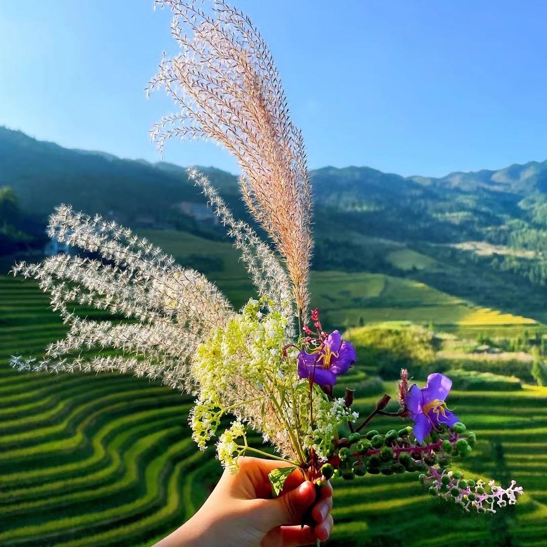 向日