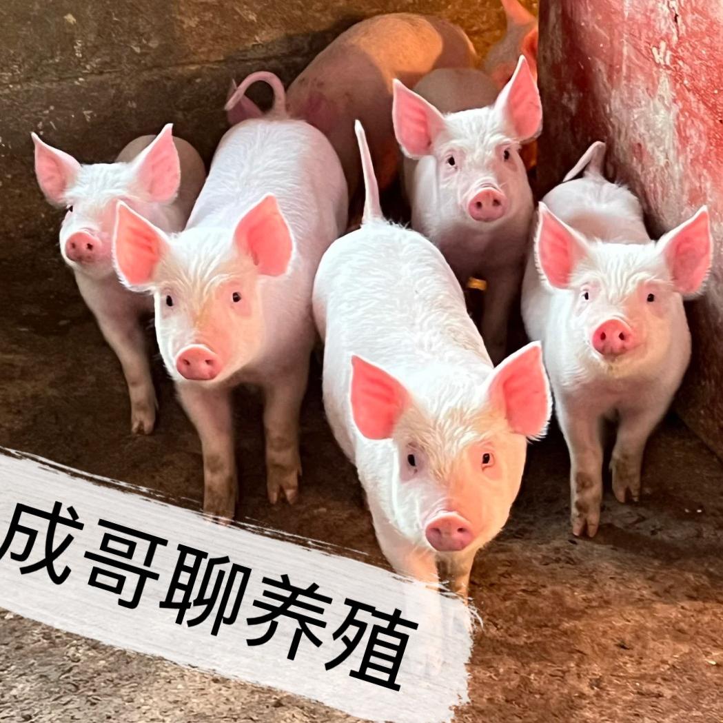 成哥聊养殖