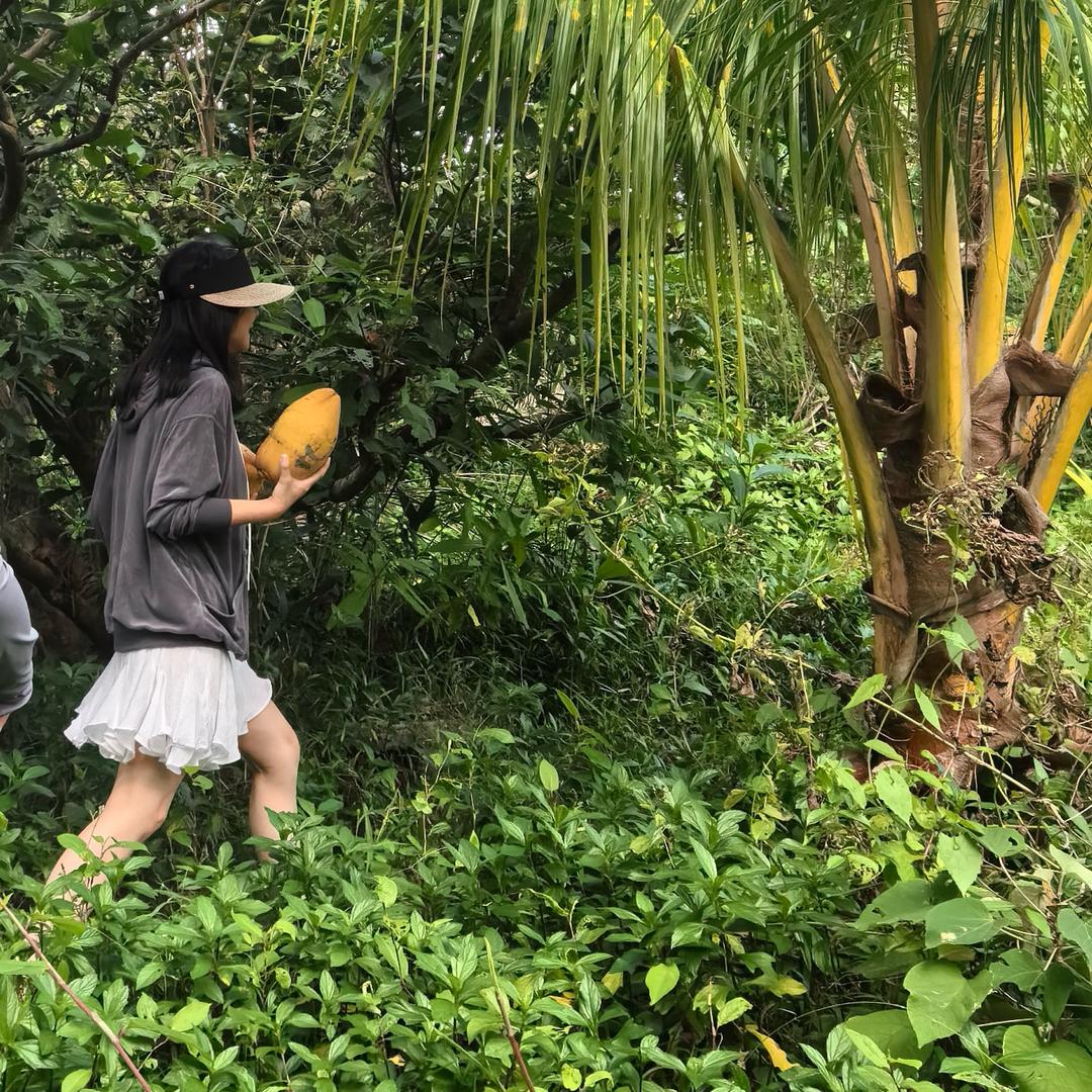 辰美