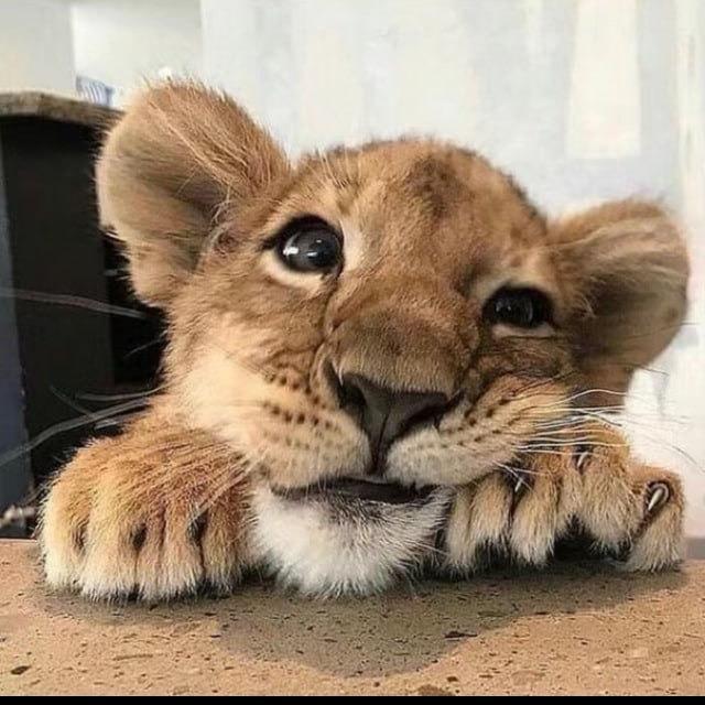 阿祥哥的朋友圈